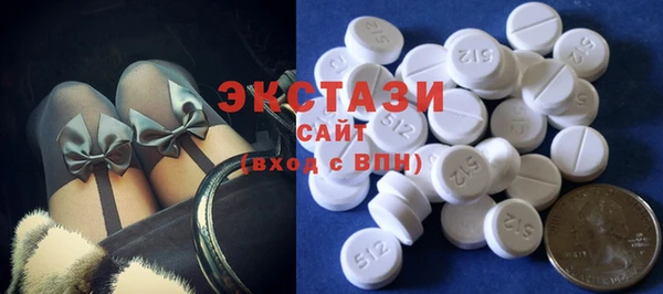хмурый Няндома