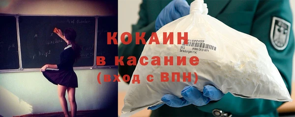 хмурый Няндома