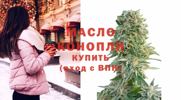 хмурый Няндома