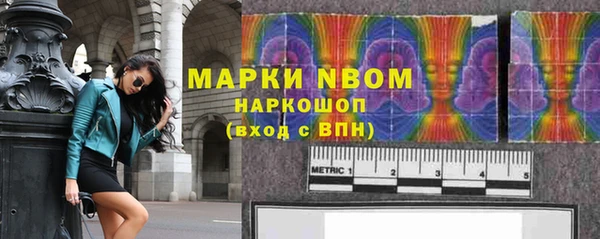 хмурый Няндома